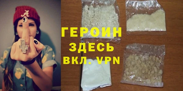 прущие грибы Лабытнанги