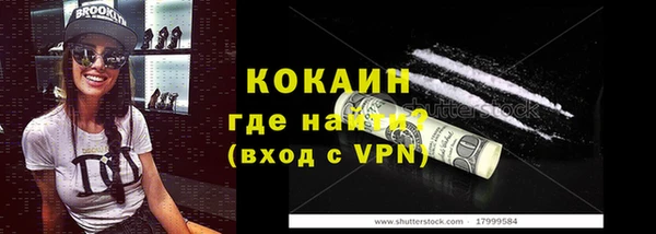 прущие грибы Лабытнанги