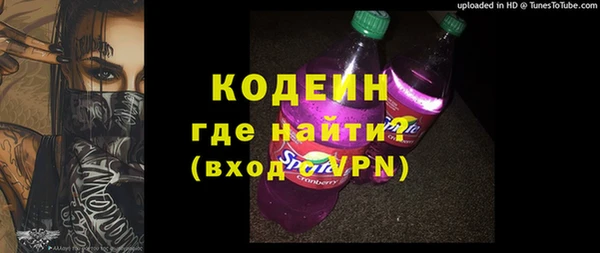 прущие грибы Лабытнанги