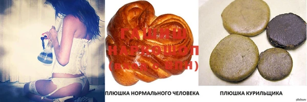 spice Лагань