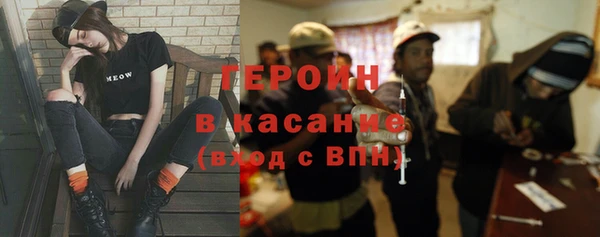 прущие грибы Лабытнанги