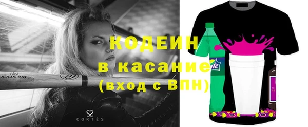 прущие грибы Лабытнанги