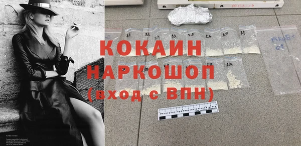 прущие грибы Лабытнанги