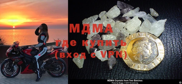 прущие грибы Лабытнанги
