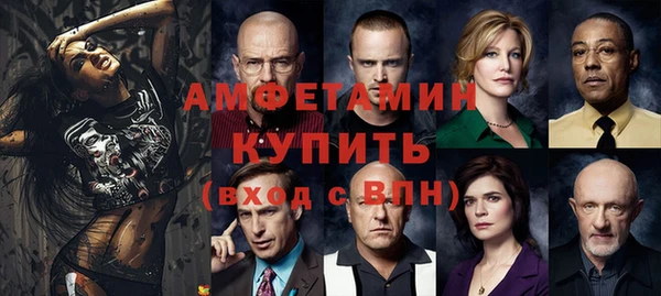 прущие грибы Лабытнанги