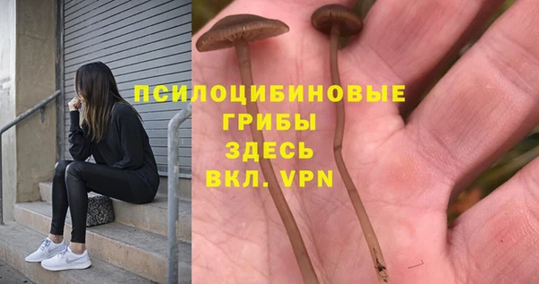 мяу мяу мука Ладушкин