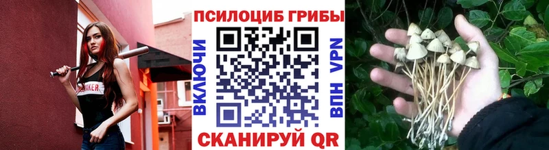 Галлюциногенные грибы GOLDEN TEACHER  Купить  Уварово